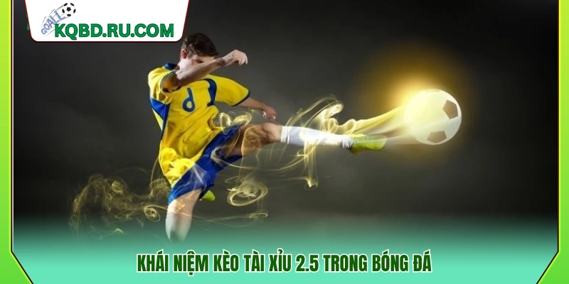 Tìm hiểu kèo tài xỉu mốc 2.5 và cách tính kết quả